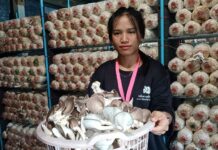 สาวฉันทนาหารายได้เสริมเพาะเห็ดขายสร้างรายได้วันละ 400 บาท