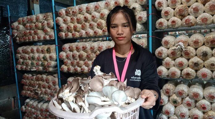 สาวฉันทนาหารายได้เสริมเพาะเห็ดขายสร้างรายได้วันละ 400 บาท