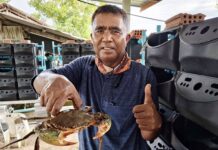 “ปูทองหลาง”สัตว์เศรษฐกิจตัวใหม่ ตอบโจทย์ตลาด สร้างรายได้มั่นคง