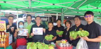 พัฒนาการปทุมฯ ลงพื้นที่ ตลาดไทยช่วยไทย คนไทยยิ้มได้ ชวนร่วม”คนละครึ่งพลัส”