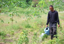 “ทำเกษตรครบวงจร”ต้นแบบชุมชนสานต่อพระราชปณิธาน”พระพันปีหลวง”