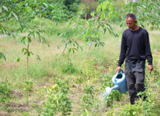 “ทำเกษตรครบวงจร”ต้นแบบชุมชนสานต่อพระราชปณิธาน”พระพันปีหลวง”