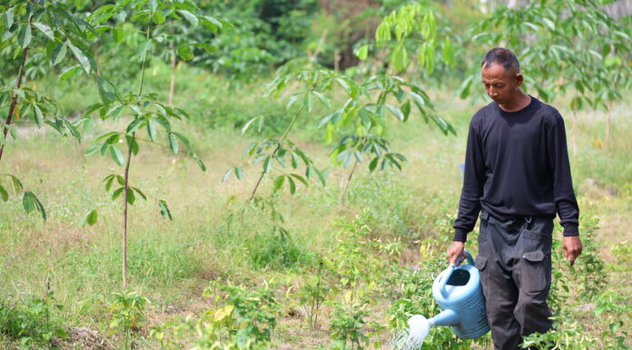 “ทำเกษตรครบวงจร”ต้นแบบชุมชนสานต่อพระราชปณิธาน”พระพันปีหลวง”