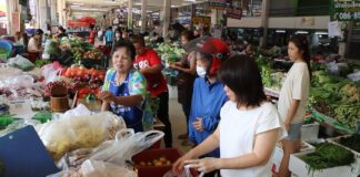 อุทกภัยพ่นพิษผักแพงยกแพง ผักชีพุ่งเท่าตัวกก.ละ 250 บาท