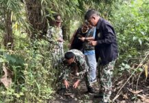 ผวาทั้งหมู่บ้านพบรอยเท้าเสือโผล่ต.แม่ปะ-วัวชาวบ้านสูญหายไร้ร่องรอย